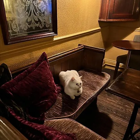The George بيت ريفي إيسينغولد